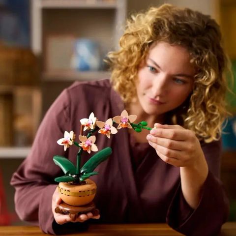 LEGO ICONS 10343 The Botanical Collection - Mini Orchid