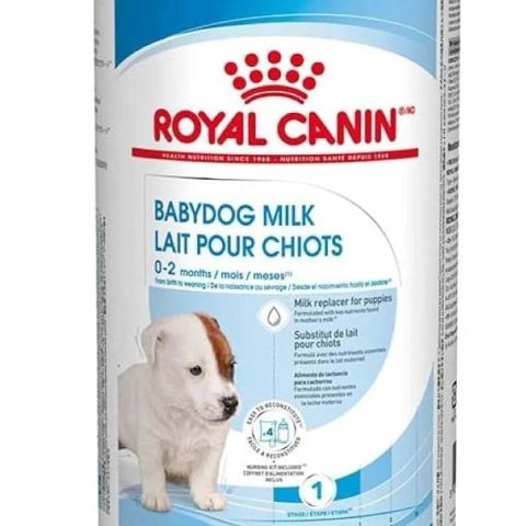 ROYAL CANIN Babydog Milk - can 400g