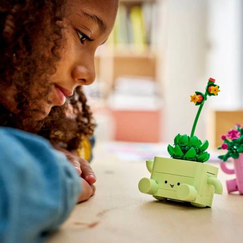LEGO BOTANICALS 11506 Swinging Plants