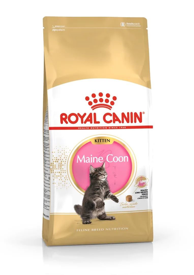 ROYAL CANIN Maine Coon Kitten - dry cat food - 2 kg