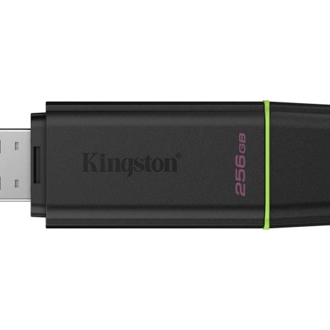 Kingston Technology DataTraveler 256GB Portable USB 3.2 Gen 1 Exodia Black/Green
