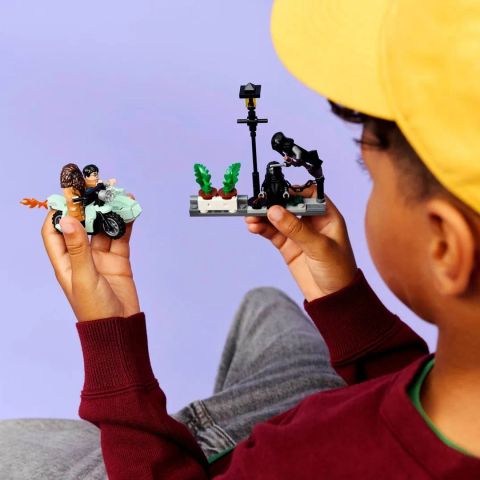 LEGO HARRY POTTER 76459 Hagrid and Harry's Privet Drive Escape