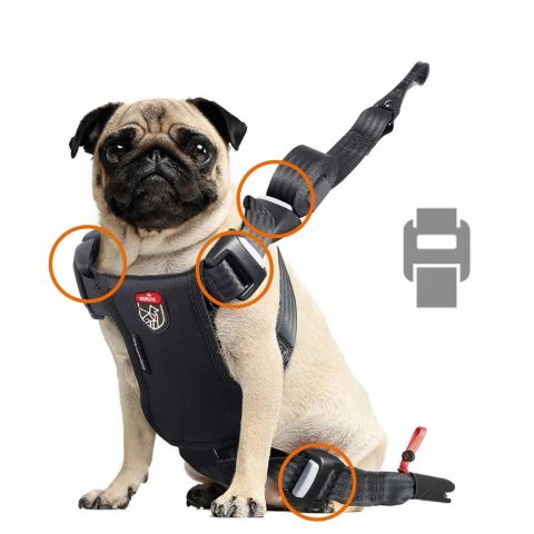 ZOLUX Travel Safe M black - dog harness