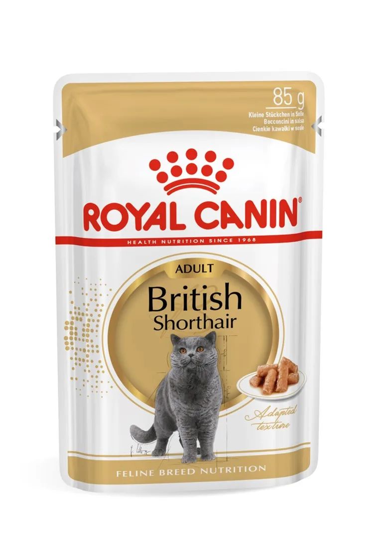 ROYAL CANIN British Shorthair packet 12x85g