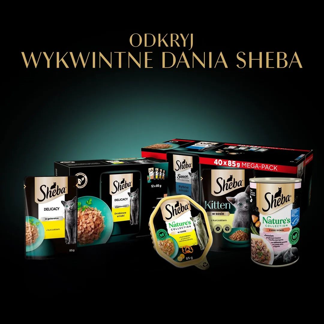SHEBA Delicacy Drobiowe Smaki w galaretce - mokra karma dla kota - 40x85 g