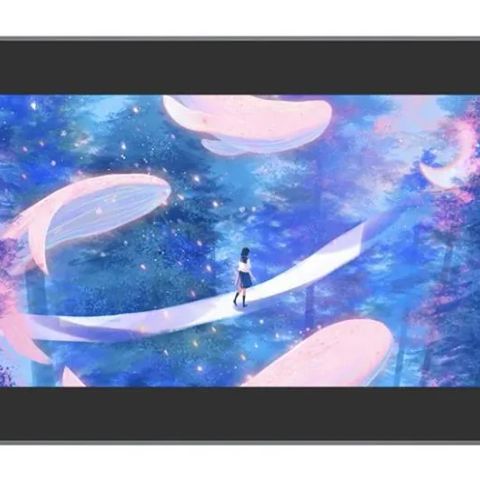 GRAPHIC TABLET 263.23X148.07MM/BLACK ARTIST 12 (2NDGEN) XPPEN
