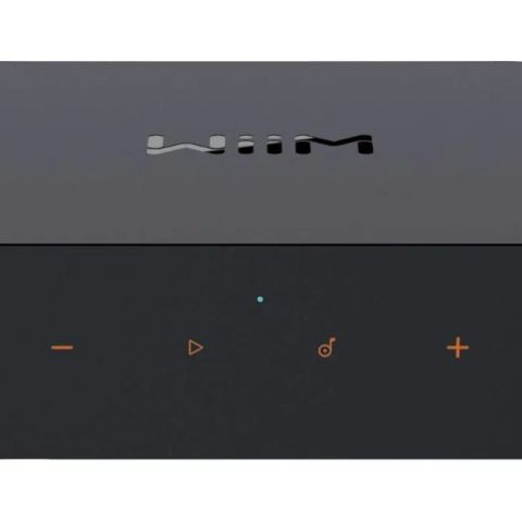 WiiM Pro Plus - network player