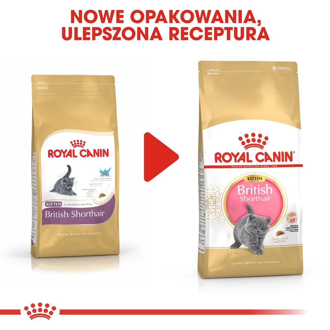 Royal Canin British Shorthair Kitten cats dry food 2 kg Poultry, Rice, Vegetable
