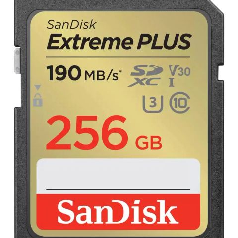 MEMORY SDXC 256GB UHS-1/SDSDXWV-256G-GNCIN SANDISK