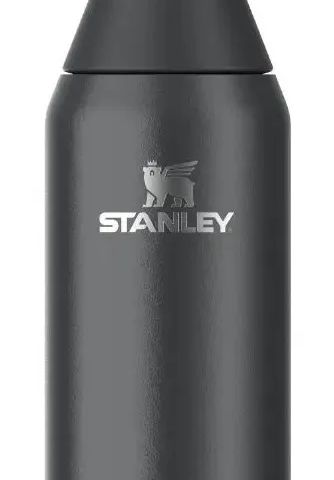 Stanley 1913 10-12069-024 drinking bottle Daily usage 0.6 ml Stainless steel Black