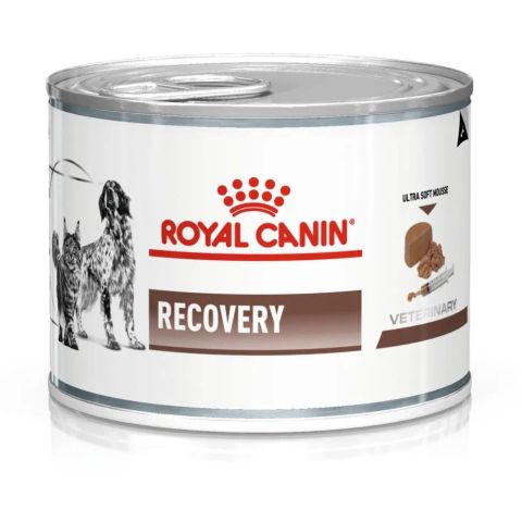 ROYAL CANIN Recovery - Wet dog and cat food - 195g