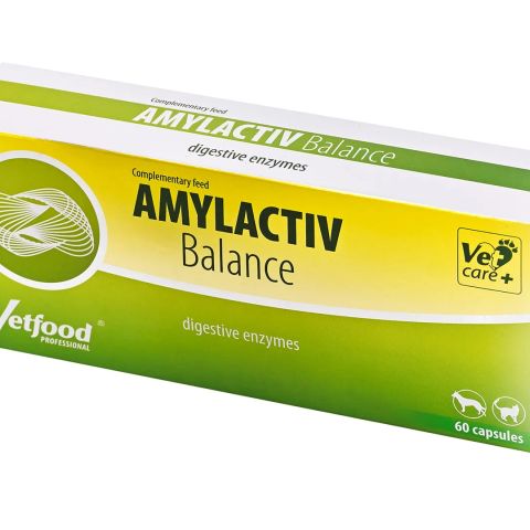 VETFOOD Amylactiv Balance - supplements for dogs and cats - 60pcs