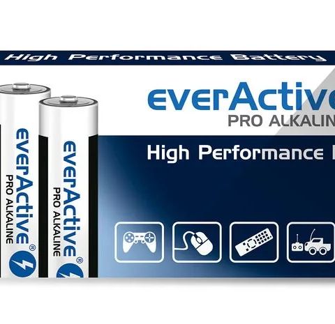 Alkaline batteries everActive Pro Alkaline LR6 AA - shrink pack - 10 pieces