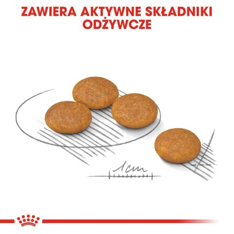 ROYAL CANIN Mini Dermacomfort - dry food for adult small breeds of dogs with sensitive skin prone to irritation - 3kg