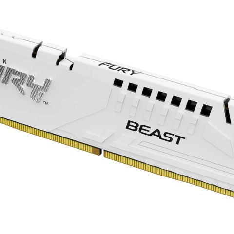 MEMORY DIMM 32GB DDR5-6000/KF560C36BWE-32 KINGSTON
