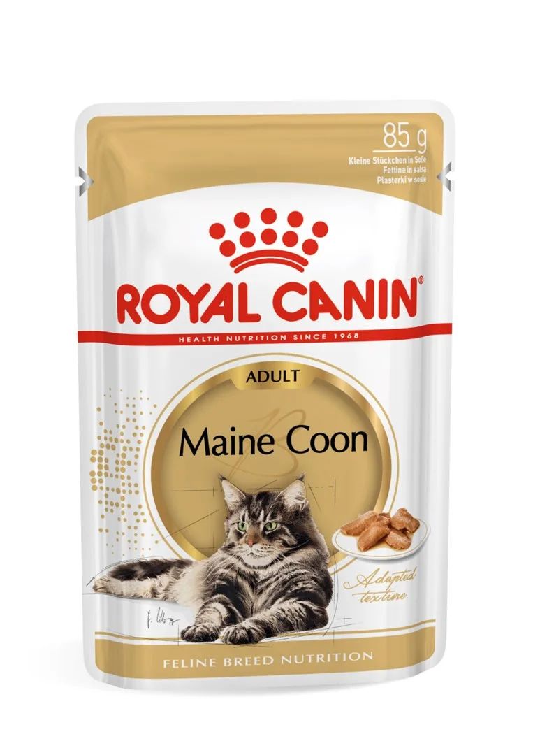 ROYAL CANIN FBN Maine Coon - Cat wet food - sachet 12x 85g