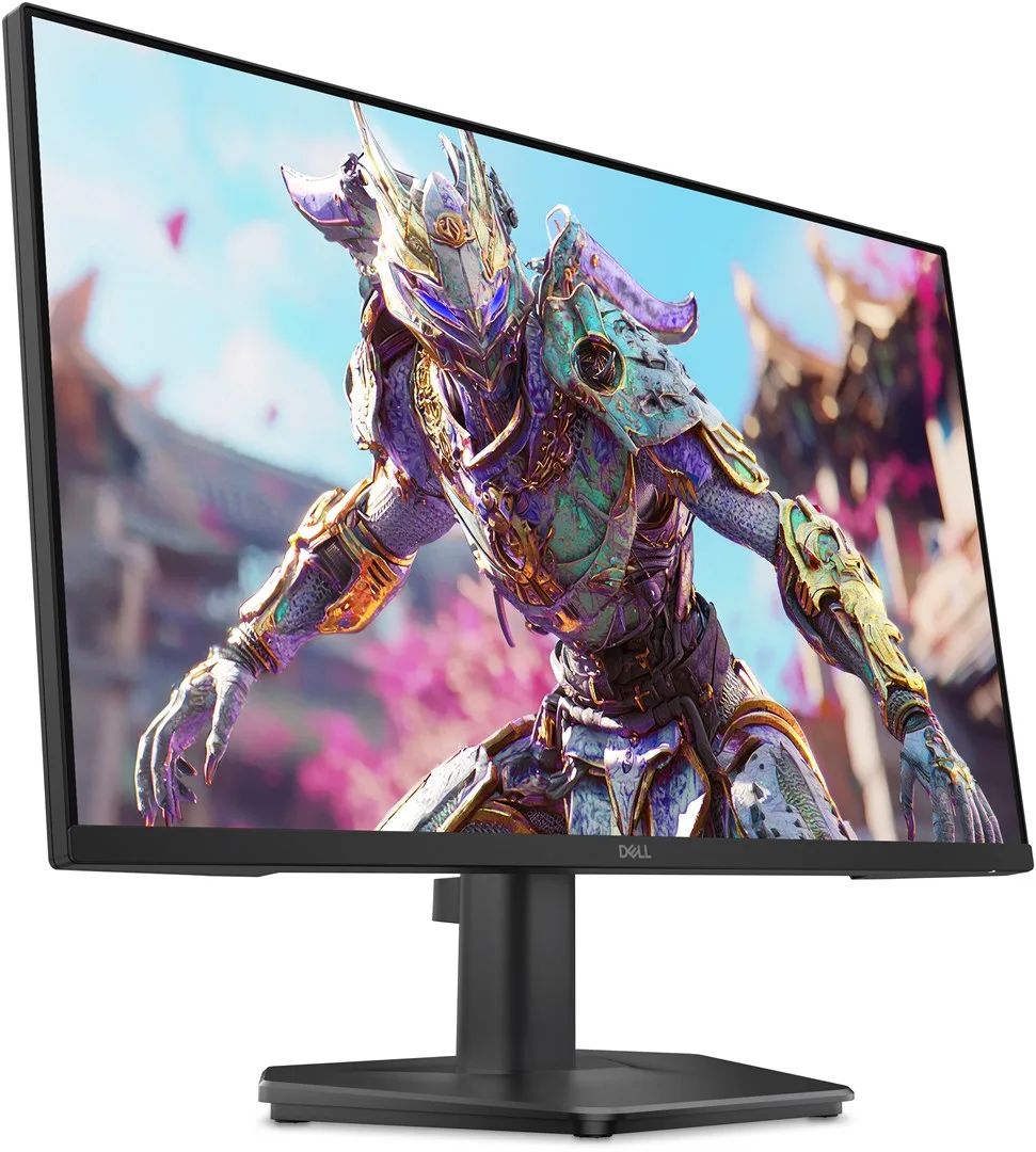 DELL SE2426HG computer monitor 60.5 cm (23.8") 1920 x 1080 pixels Full HD LCD Black