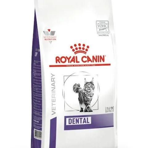 ROYAL CANIN Dental - dry cat food - 1,5kg