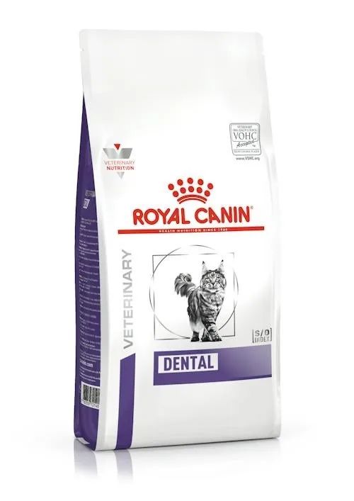 ROYAL CANIN Dental - dry cat food - 1,5kg