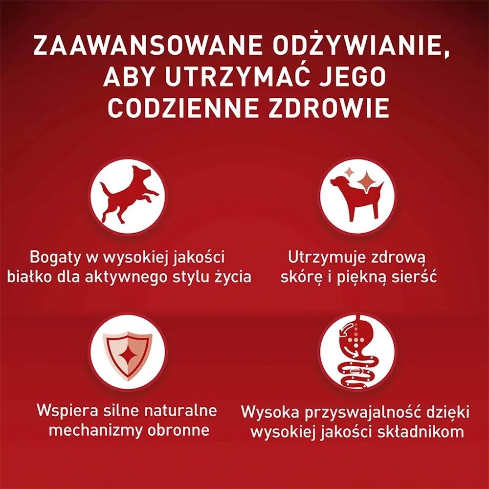PURINA One Mini/Small Sensitive Salmon, rice - dry dog food - 800 g