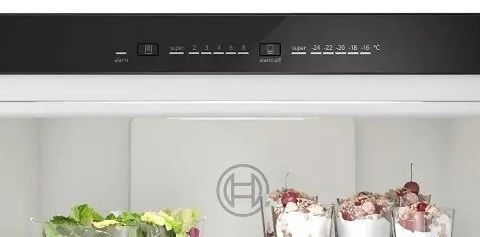 BOSCH KGN 33NSDB Refrigerator-Freezer