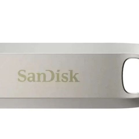 MEMORY DRIVE FLASH USB-C 256GB/SDCZ75-256G-G46 SANDISK