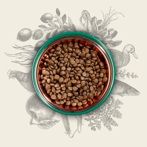 EDEN Original Cousine - dry cat food - 10 kg