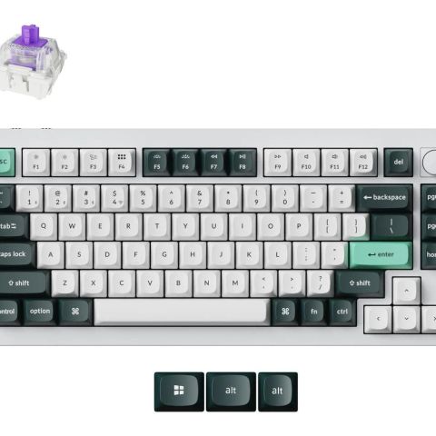 KEYBOARD WRL Q1 HE RGB/SHELL WHITE Q1H-P1 KEYCHRON