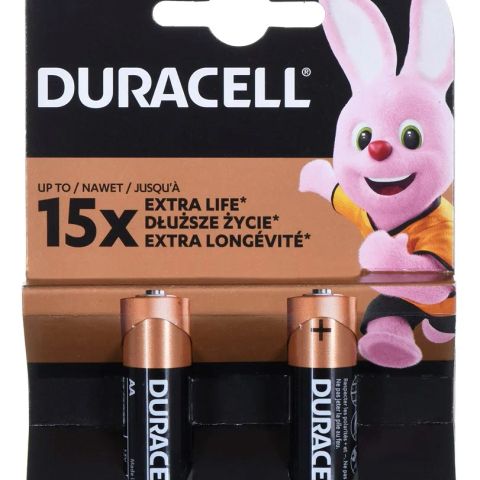 Alkaline batteries DURACELL BASIC AA/LR6 K2 - blister card 2 pieces