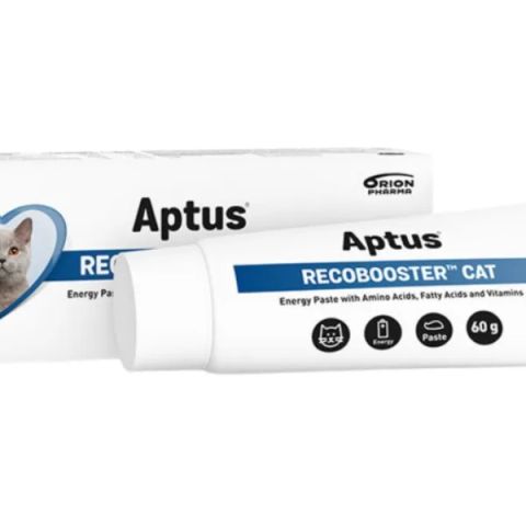 APTUS Recobooster Nutrition and appetite - supplements for cats – 60g