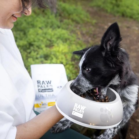 VETEXPERT Raw Paleo Ultra Medium&Large Puppy Turkey - dry food for puppies - 2 kg