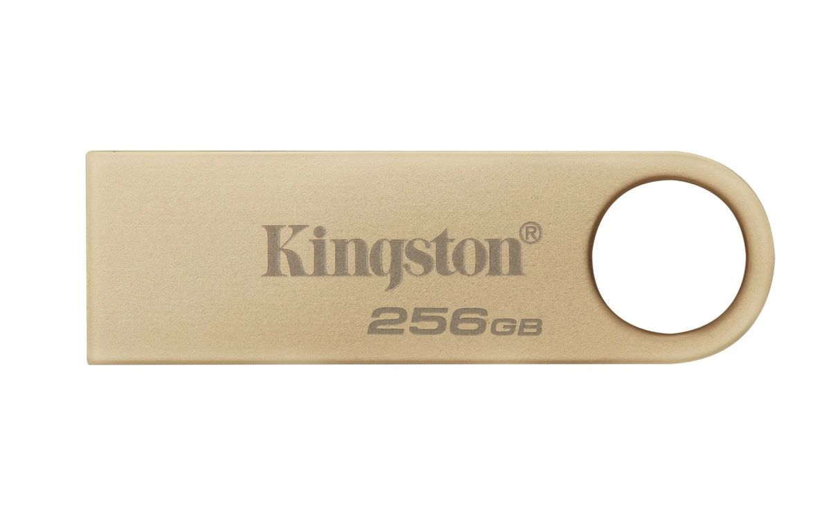 MEMORY DRIVE FLASH USB3.2/256GB DTSE9G3/256GB KINGSTON