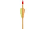 Poe Lang Target Wooden 30" D-027A-B1 Wooden arrows 5 pcs