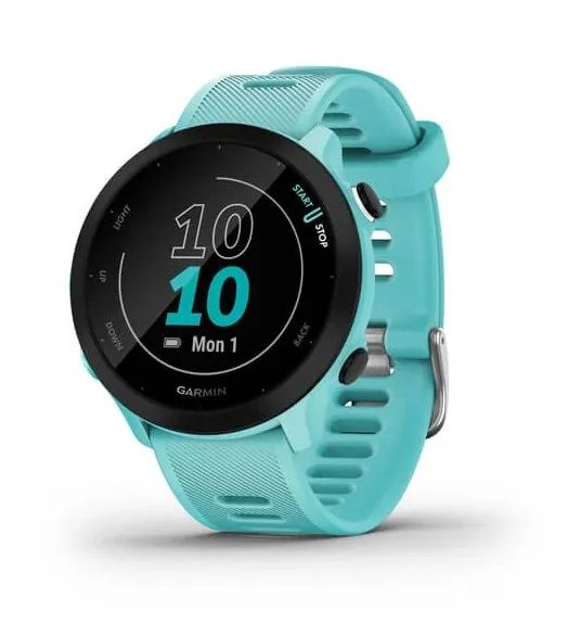 Garmin Forerunner 55 2.64 cm (1.04") MIP 42 mm Digital 208 x 208 pixels GPS (satellite)