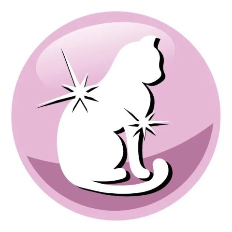 PREVITAL Senior Salmon - dry cat food - 1,4kg