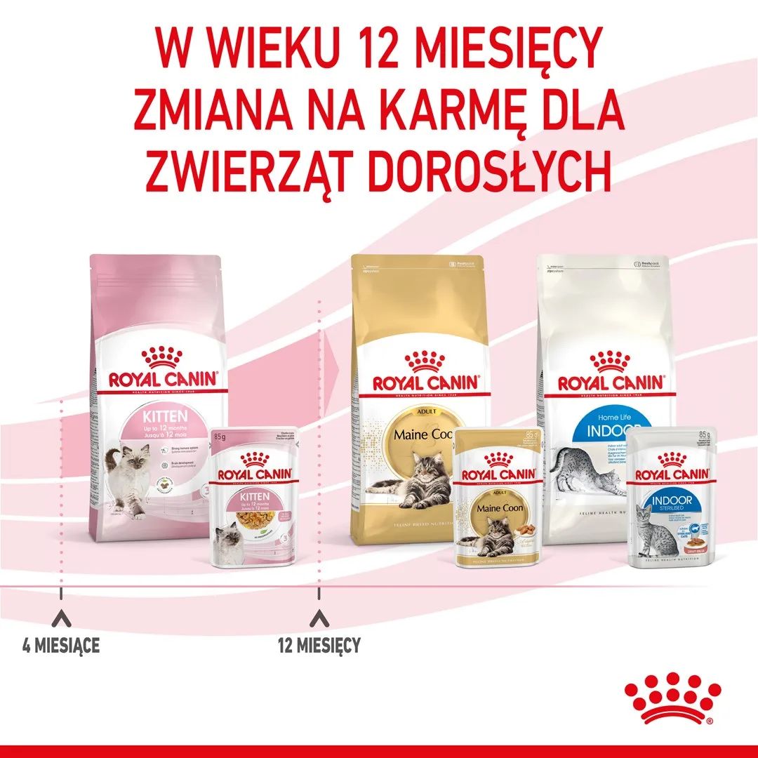 Royal Canin FHN Kitten Instinctive in jelly - wet food for kittens - 12x85g