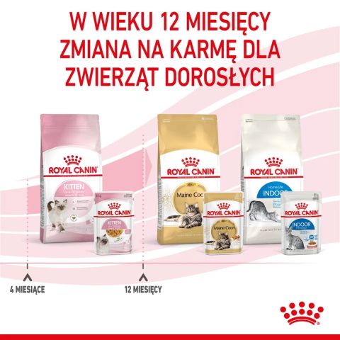 Royal Canin FHN Kitten Instinctive in jelly - wet food for kittens - 12x85g