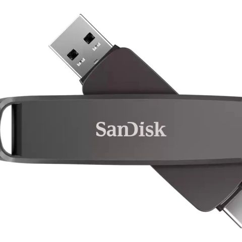 MEMORY DRIVE FLASH USB-C 1TB/SDDDE1-1T00-G46 SANDISK